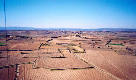 monoculture ? dans le piscenois.